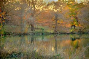 The Blanco River in fall.
