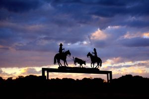 Round Up!