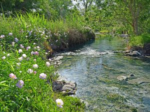 Pristine & Precious Water