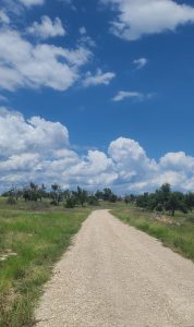 Texas Hill Country Road