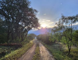 Morning walk on the Ranch