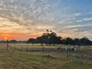 Hill Country Sunrise