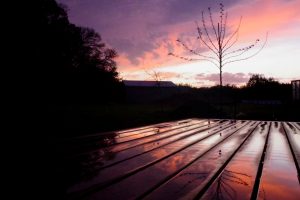 Sunset Reflections