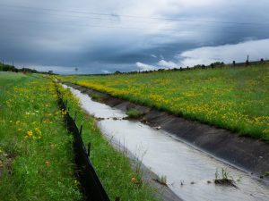 It\'s raining down in Texas