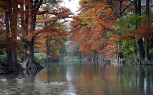Changing Colors