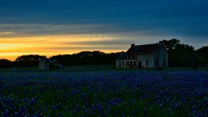 Sunset at the Bluebonnet House