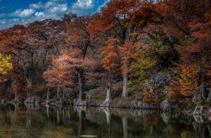 Fall Magic
