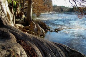 Guadalupe State River