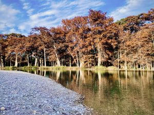 Fall at the Frio River
