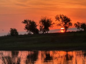 Sunrise over Lake Buchana and trees