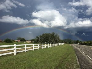 Spring Shower just outside of Tarpley