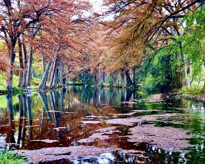 Fall Season At The Sabinal River