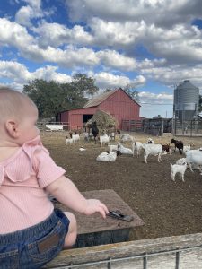 New ranch hand