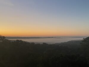 Valley Mist