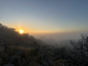 Foggy morning