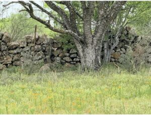 Field Rock Fence