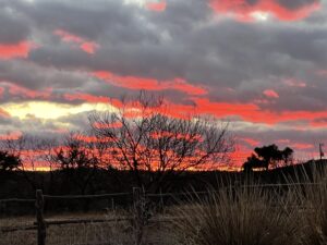 Sky on Fire
