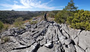 Landscape and Limestone