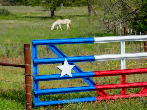 LONE STAR, TEXAS