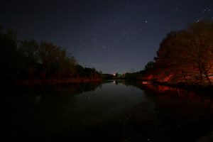 Mo Ranch Starry Night