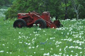 Nature & Machine