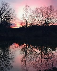 Pink Painted Pond