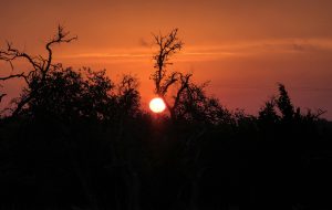 Red Sky in the Morning Sailor Take Warning, a Fredericksburg Sunrise