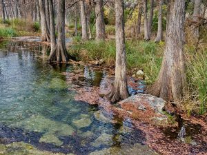 Downstream at Roy Chisum Crossing