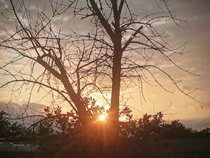 Sol Setting 1