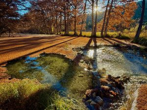 Sunrise Shadows at Roy Chisum Crossing
