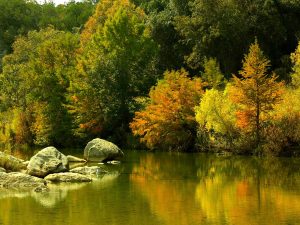 English Crossing Fall Foliage