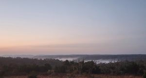 Valley Fog