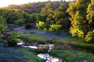 Willow Creek