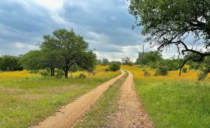 Take me home, country road