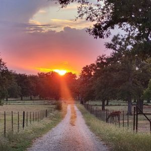 Sunset on the Farm