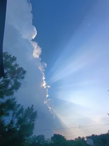 The sun shining through