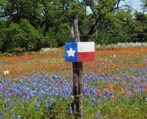God Bless Texas