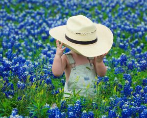 Lil\' Cowboy