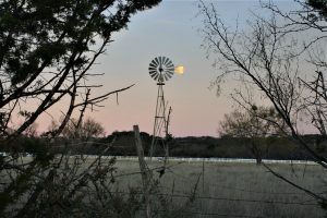 Windmill