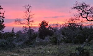 Purple Sunset