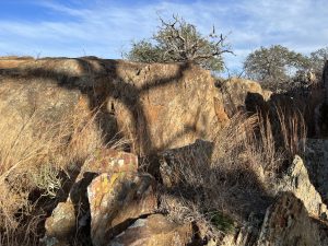 Looking for Topaz