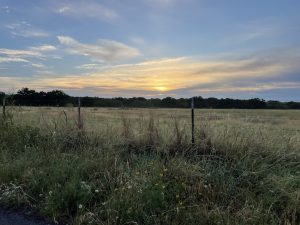 Sunrise