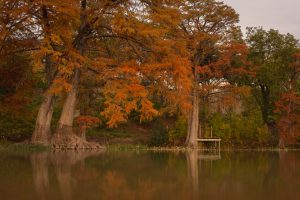 hill Country Fall colors