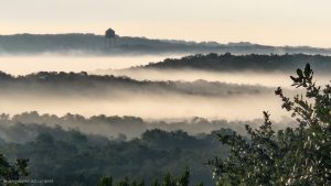 Hill Country Fog