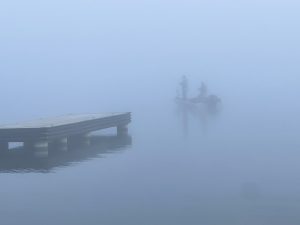 Fishing in the Fog