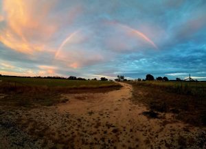Unexpected Rainbow