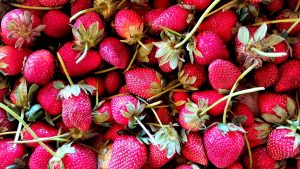 Sweet Berry Farms