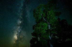The Stars at Night Are Big and Bright...