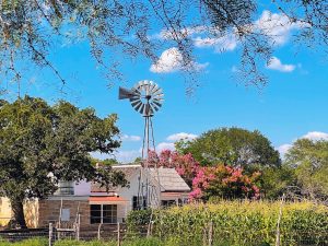 Spring at the Farmhouse