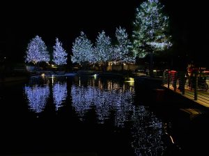 A Holiday in the Hill Country